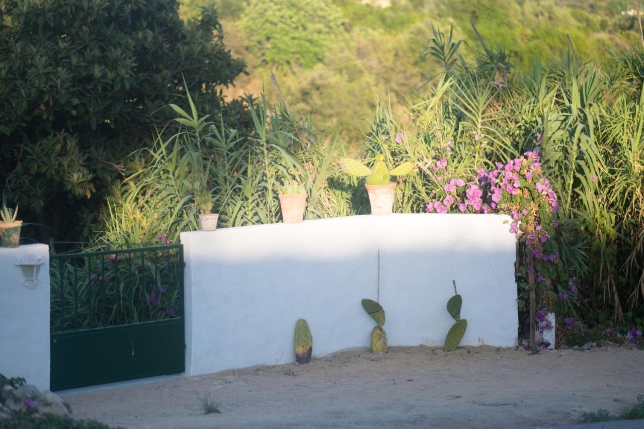 ホテル Casa Da Cabeca Azinheiro エクステリア 写真