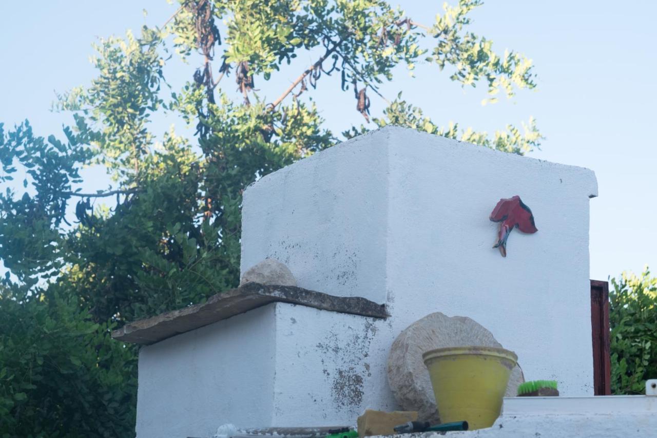 ホテル Casa Da Cabeca Azinheiro エクステリア 写真